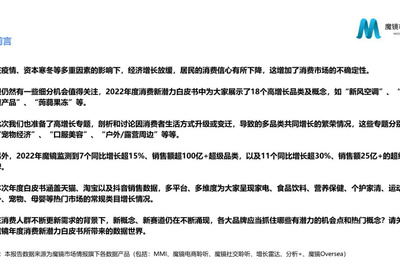 2022年度消费新潜力白皮书