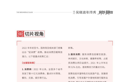 新中产白皮书消费篇