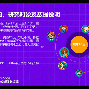 成年95后消费趋势研究-快乐星球人，氪金新趋势