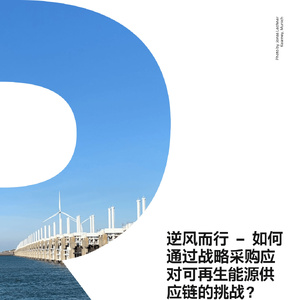 逆风而行 – 如何通过战略采购应对可再生能源供应链