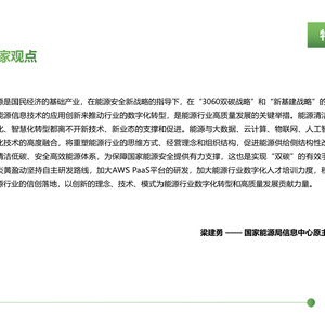 2022低代码PaaS加速能源行业数字化转型白皮书