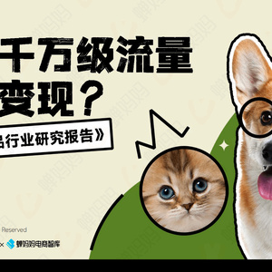 蝉妈妈：2023抖音宠物用品行业研究报告