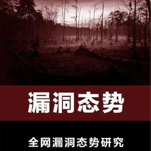 奇安信：2022年全网漏洞态势研究报告