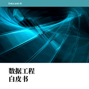 思特沃克：2023数据工程白皮书