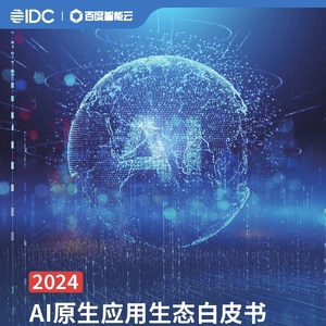 百度智能云&IDC：2024AI原生应用生态白皮书