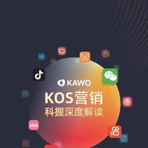 科握：2024年KOS营销科握深度解读报告