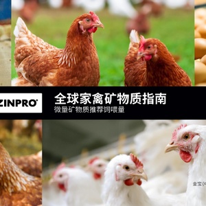 金宝：2024年家禽矿物质指南