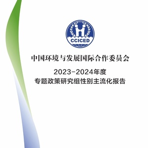 CCICED：2023-2024年度专题政策研究性别主流化报告