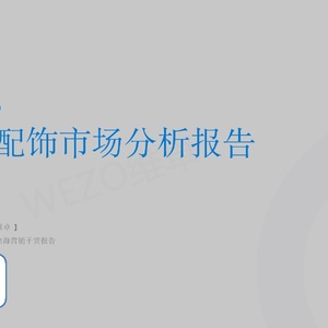 维卓：2024全球配饰市场分析报告