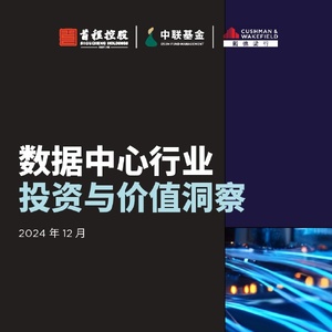 首程控股：2024年数据中心行业投资与价值洞察