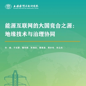 SIIS：2024年能源互联网的大国竞合之源：地缘技术与治理协同报告 ...