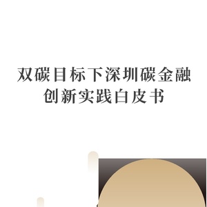 深圳市生态环境局：2024双碳目标下深圳碳金融创新实践白皮书 ...