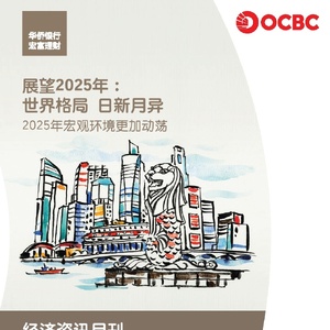 展望2025年世界格局日新月异：年宏观环境更加动荡
